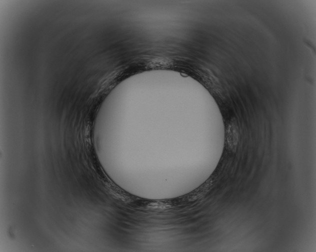 X0000097650714200802290846