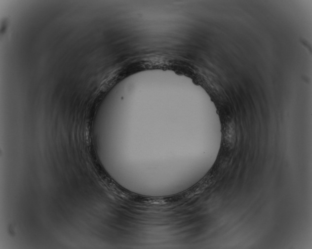 X0000097650715200802290846