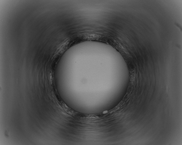 X0000097650716200802290846