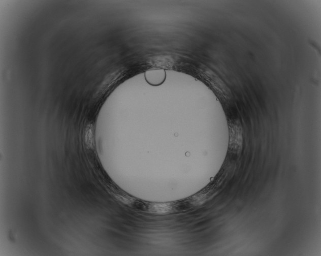 X0000097650717200802290846