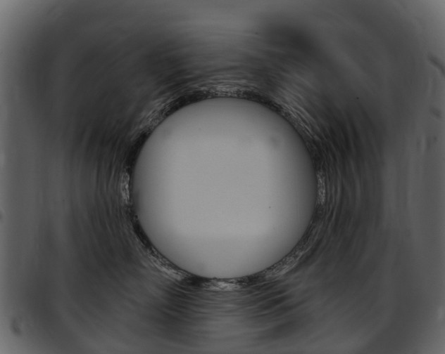 X0000097650718200802290846