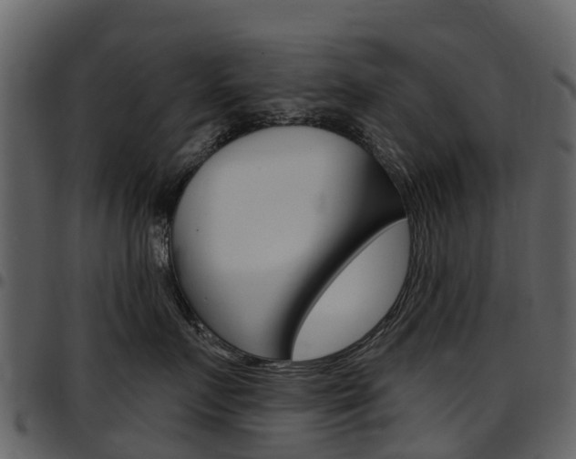 X0000097650719200802290846