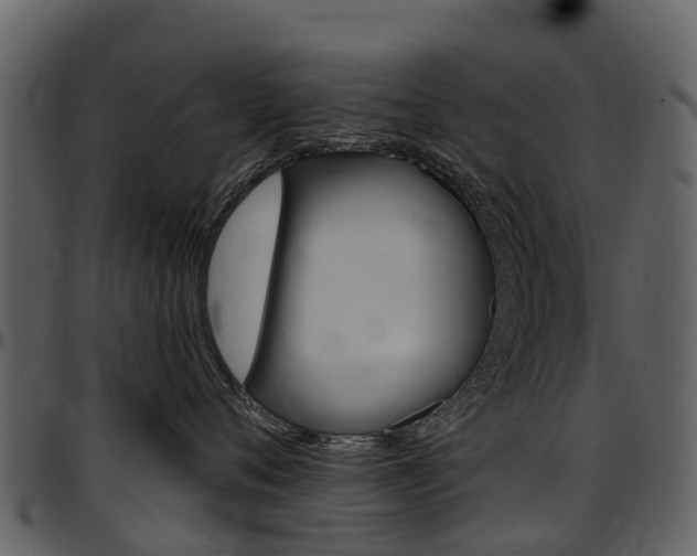 X0000097650720200802290846