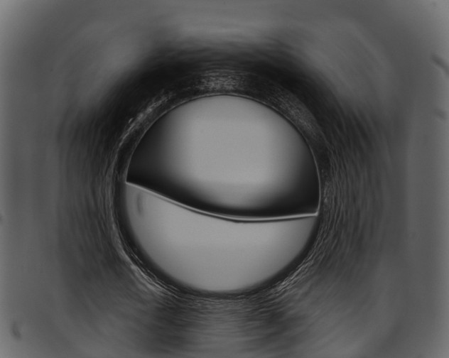 X0000097650722200802290845