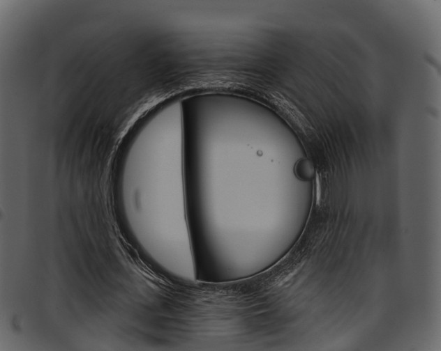 X0000097650723200802290845