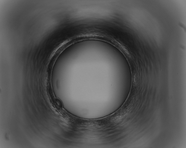 X0000097650724200802290845