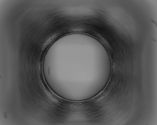 X0000097650725200802290845