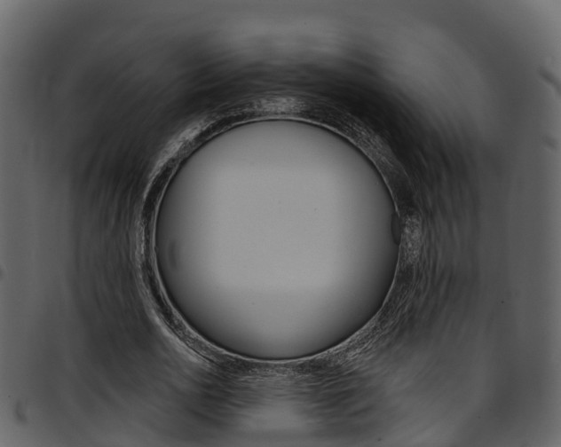 X0000097650726200802290845