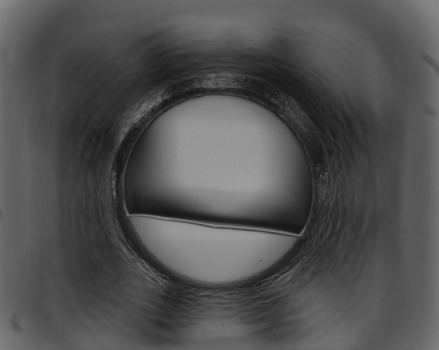 X0000097650727200802290845
