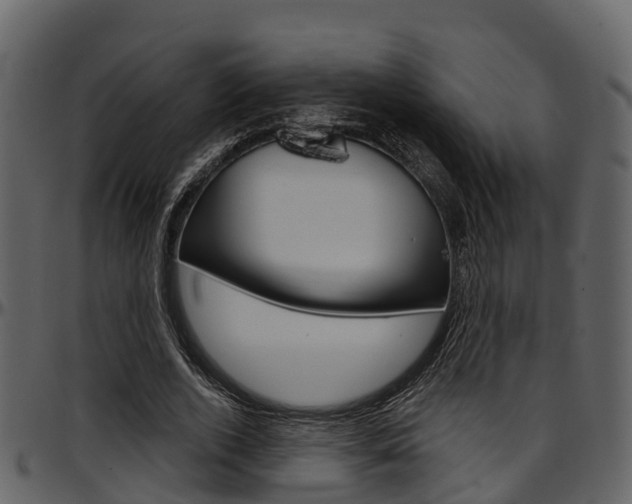 X0000097650728200802290845