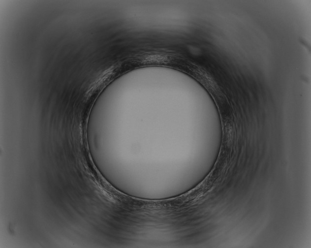 X0000097650729200802290845