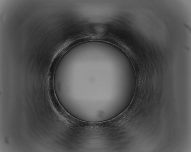 X0000097650730200802290845