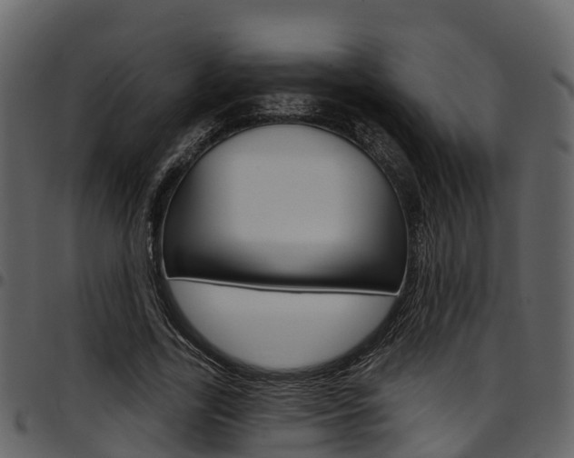 X0000097650731200802290845