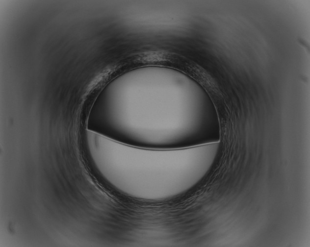 X0000097650732200802290845