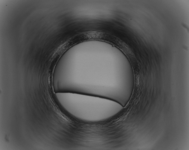 X0000097650733200802290846