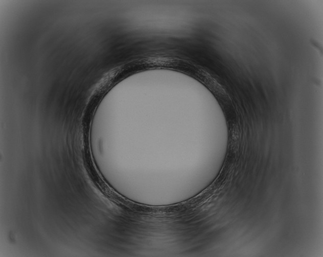 X0000097650734200802290846