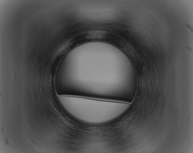 X0000097650735200802290846