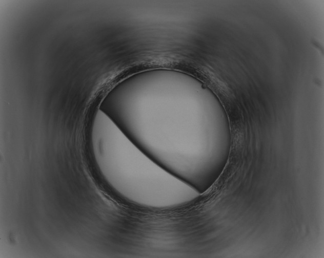 X0000097650736200802290846