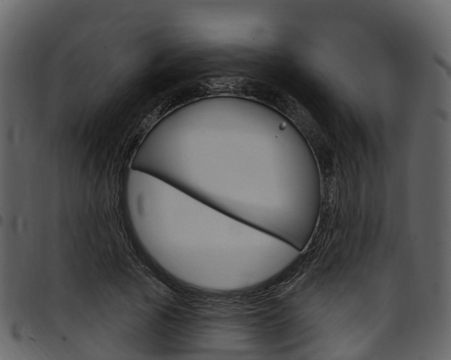X0000097650737200802290846
