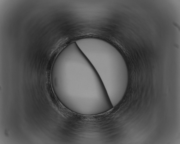 X0000097650738200802290846