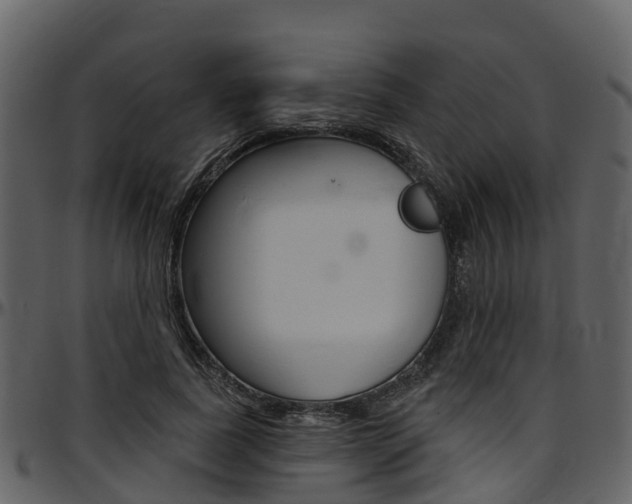 X0000097650739200802290846