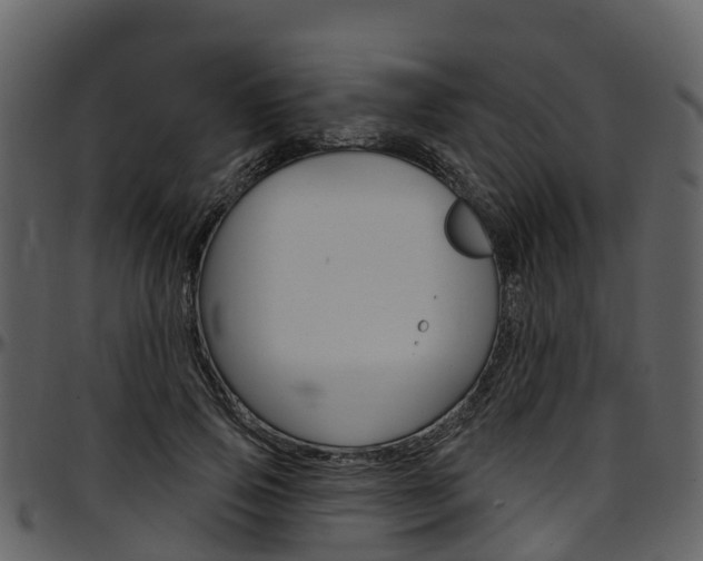 X0000097650741200802290846