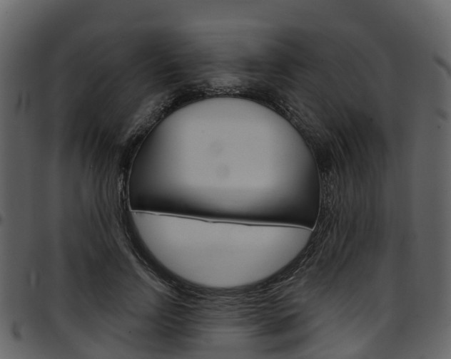 X0000097650742200802290846