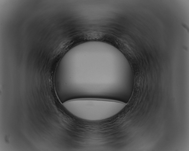 X0000097650743200802290846