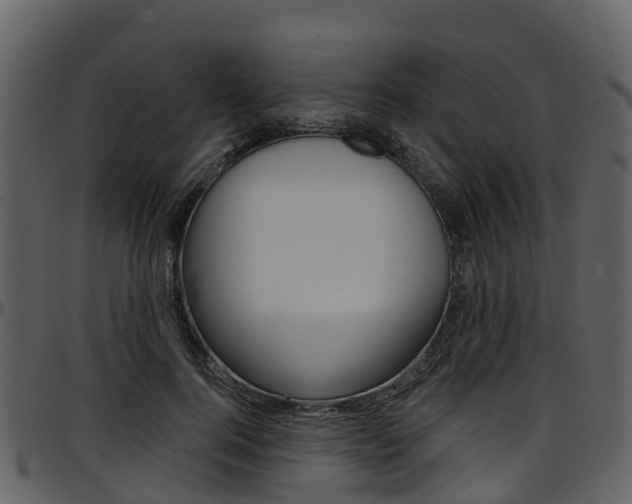 X0000097650744200802290846