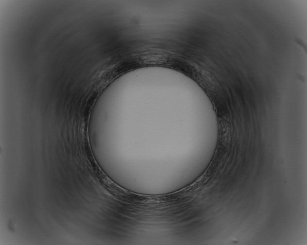 X0000097650745200802290846