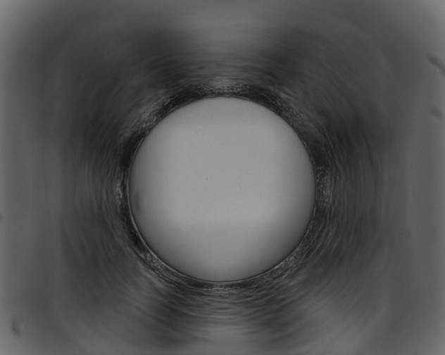 X0000097650746200802290846