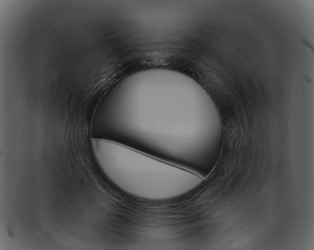X0000097650747200802290846
