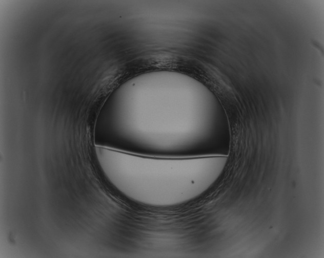 X0000097650748200802290846