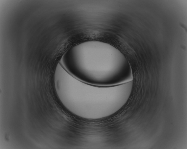X0000097650750200802290846