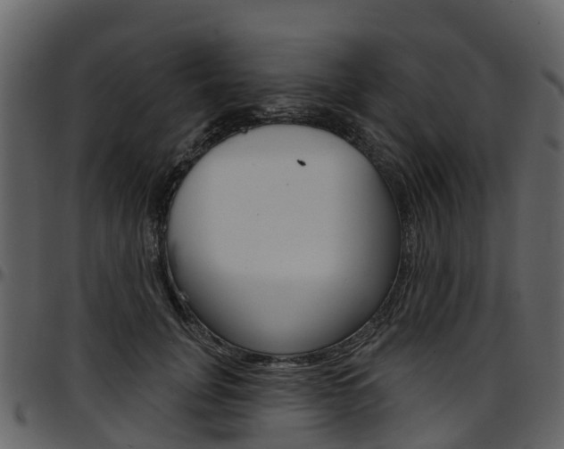 X0000097650751200802290846