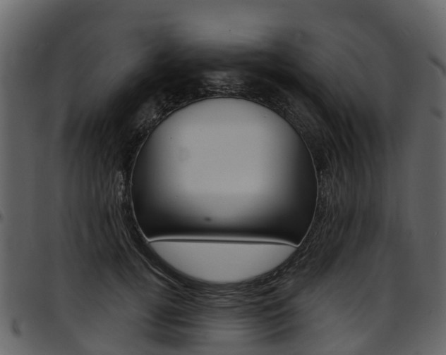 X0000097650752200802290846