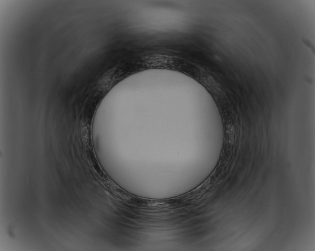 X0000097650753200802290846