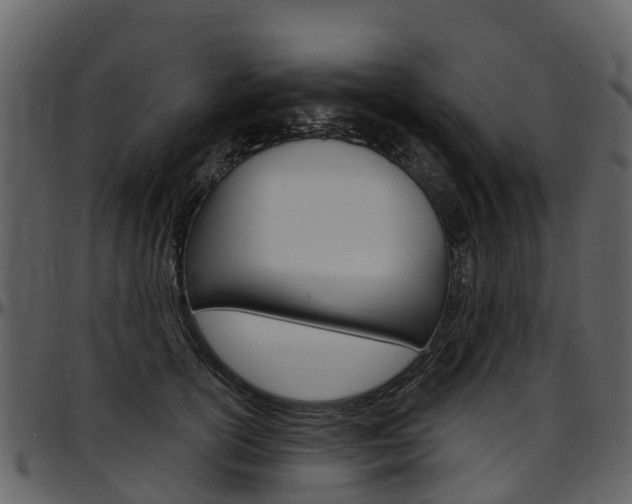 X0000097650754200802290846