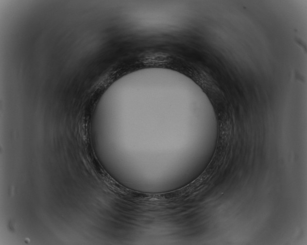 X0000097650755200802290846