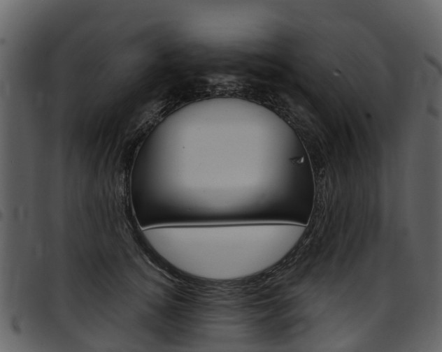X0000097650756200802290846