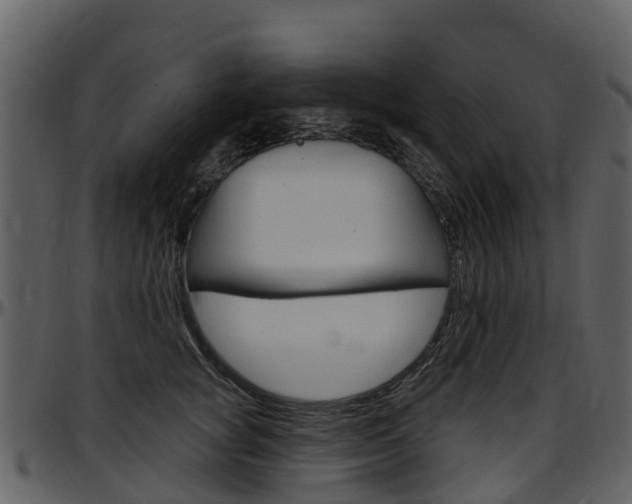 X0000097650757200802290846