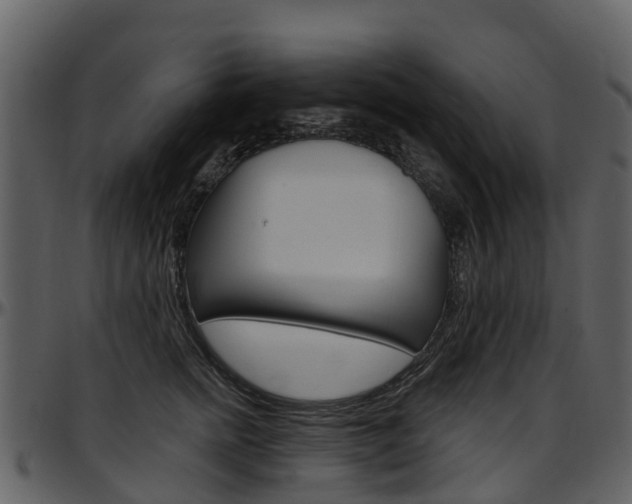 X0000097650758200802290846