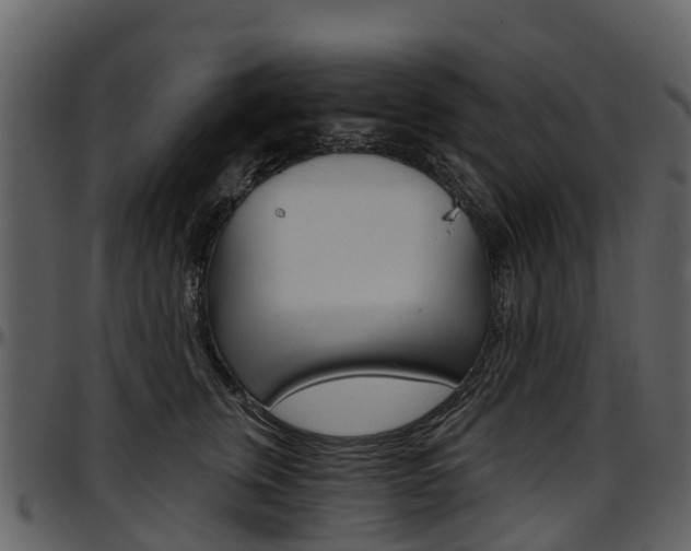 X0000097650759200802290846