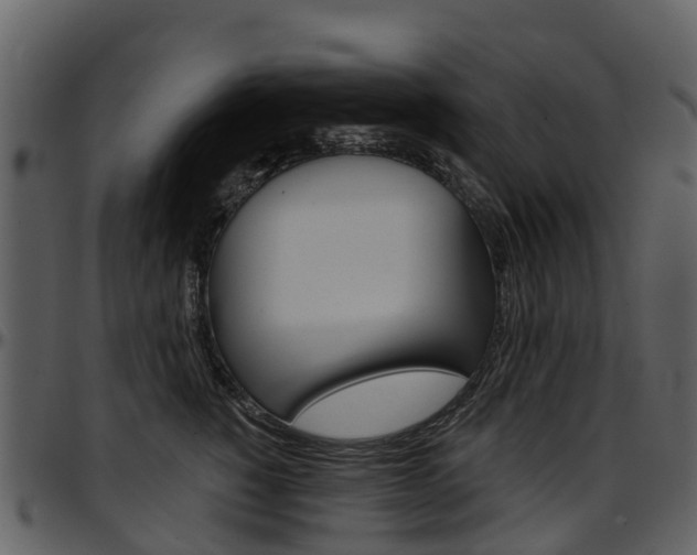 X0000097650760200802290846