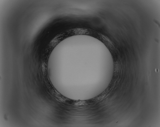X0000097650761200802290846