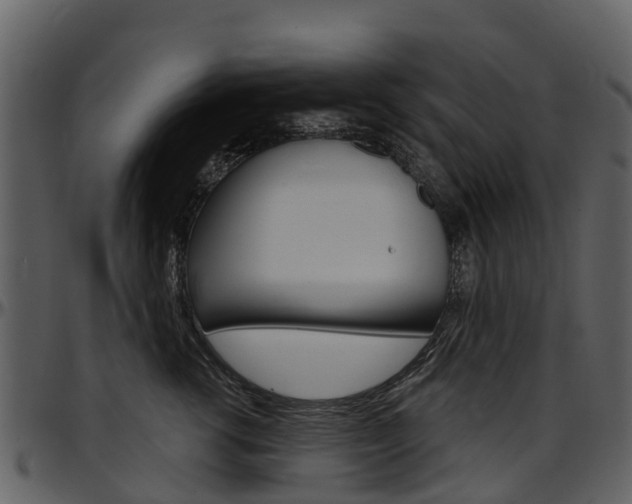 X0000097650762200802290846