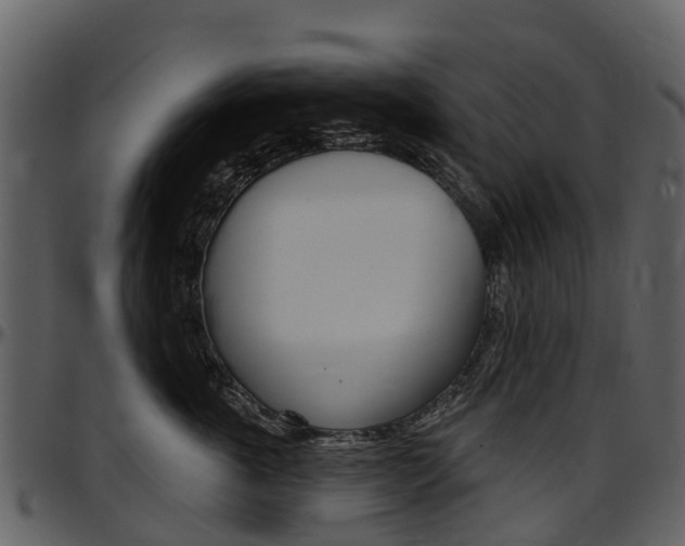 X0000097650763200802290846