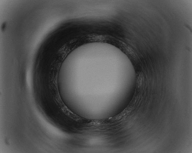 X0000097650764200802290846