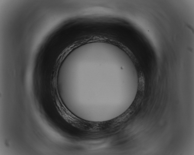 X0000097650765200802290846