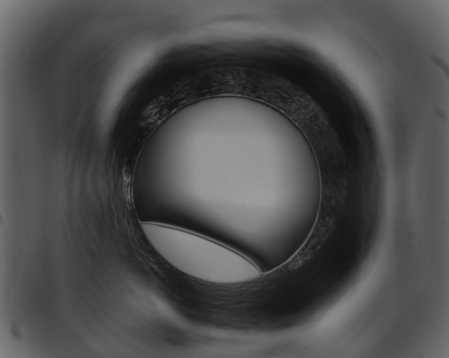 X0000097650766200802290846